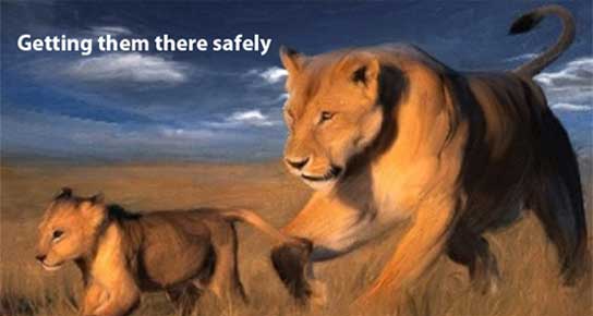 lion